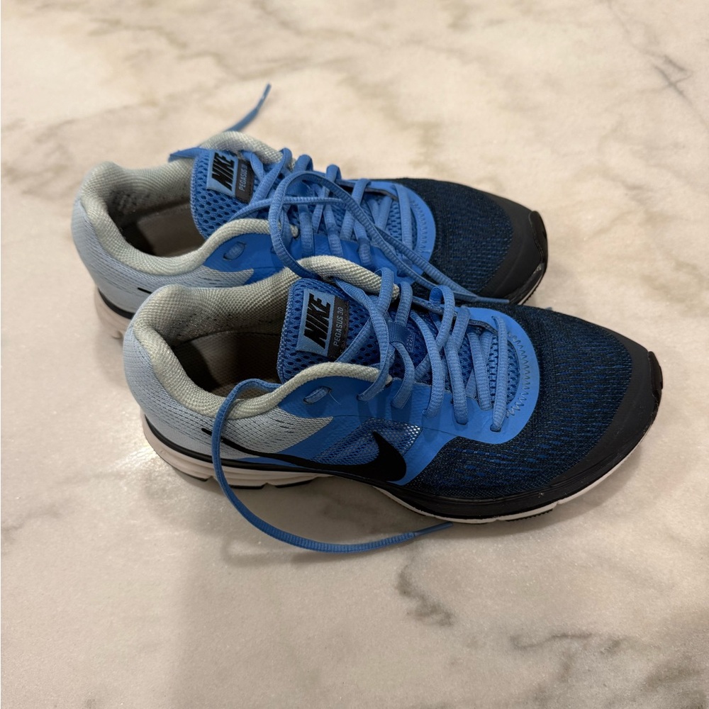 Nike Pegasus 30